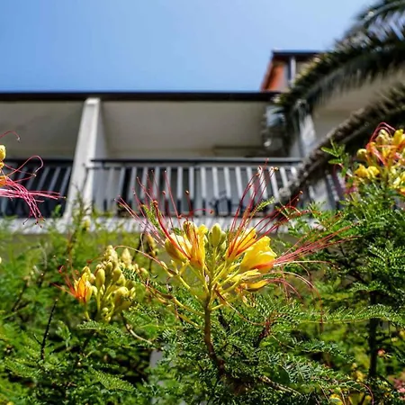 In - Insel Pasman 31078 Lejlighed *